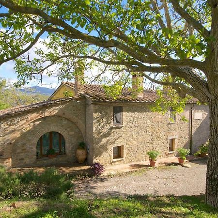 Agriturismo Corvaia Radicofani Dış mekan fotoğraf