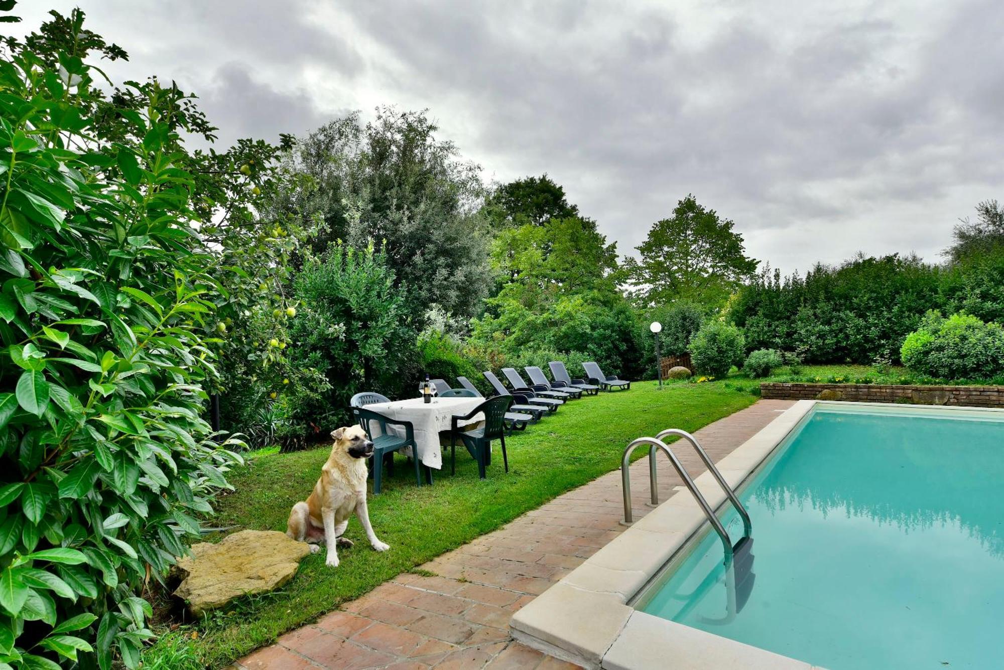 Agriturismo Corvaia Radicofani Dış mekan fotoğraf