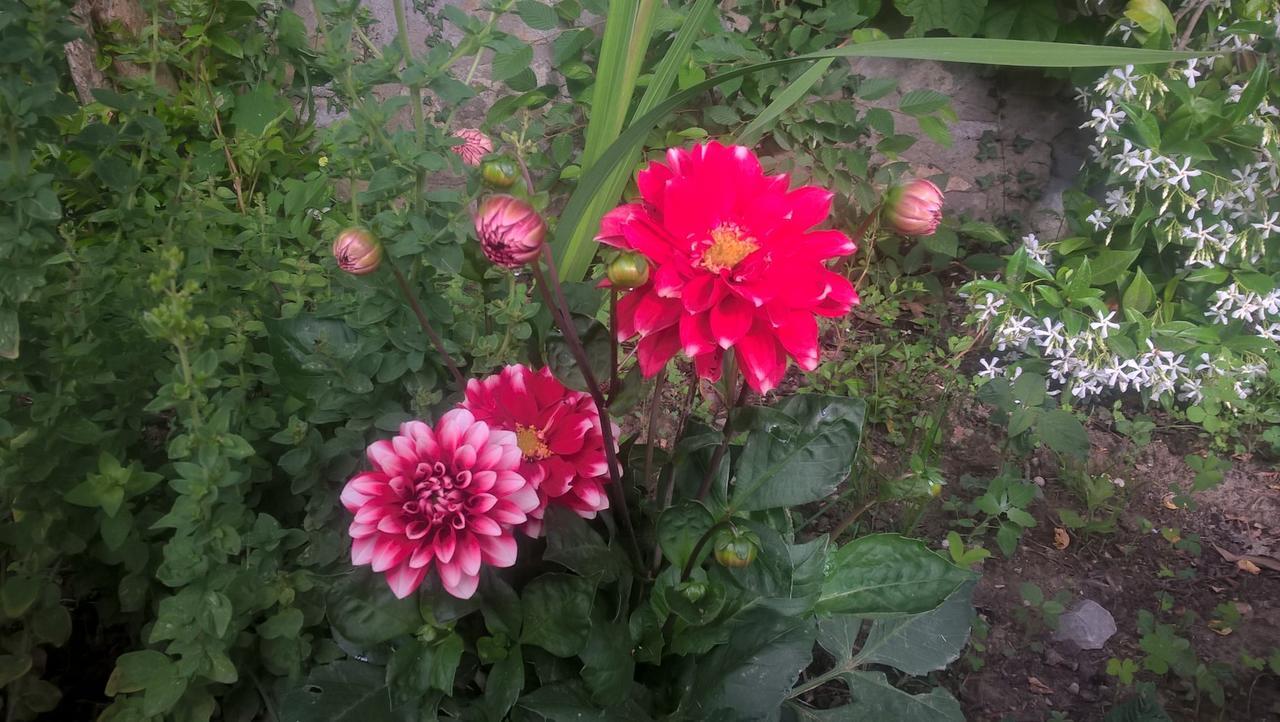 Agriturismo Corvaia Radicofani Dış mekan fotoğraf