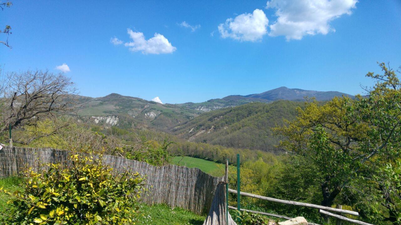 Agriturismo Corvaia Radicofani Dış mekan fotoğraf